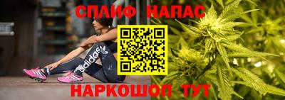 PSILOCYBIN Кулебаки