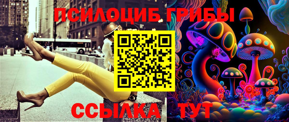 Галлюциногенные грибы мухоморы  Псилоцибиновые грибы Psilocybine cubensis  Зеленодольск  Вход с VPN 