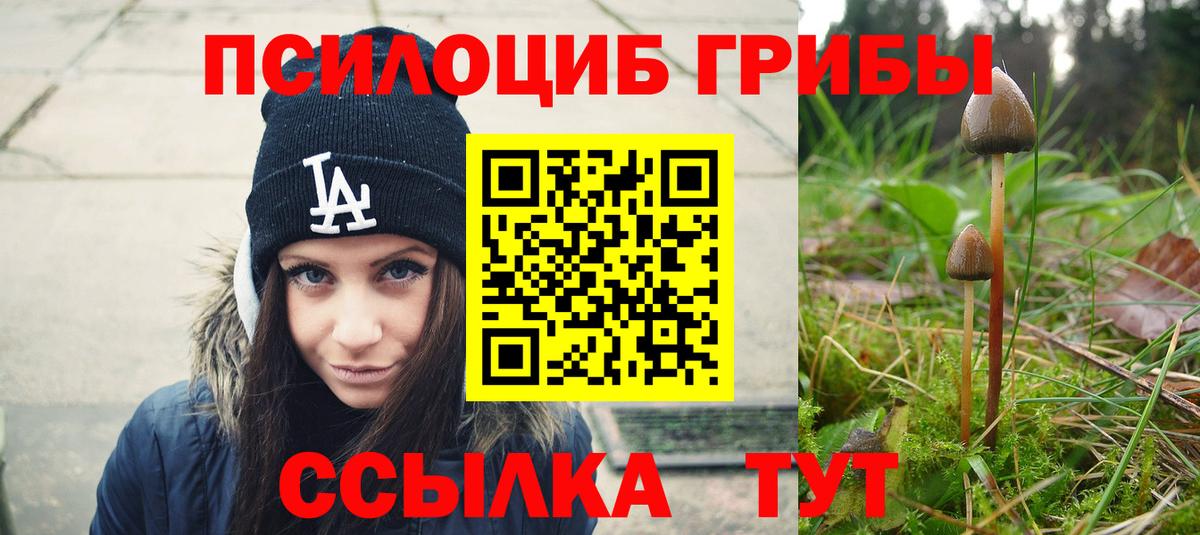Галлюциногенные грибы прущие грибы Зеленодольск